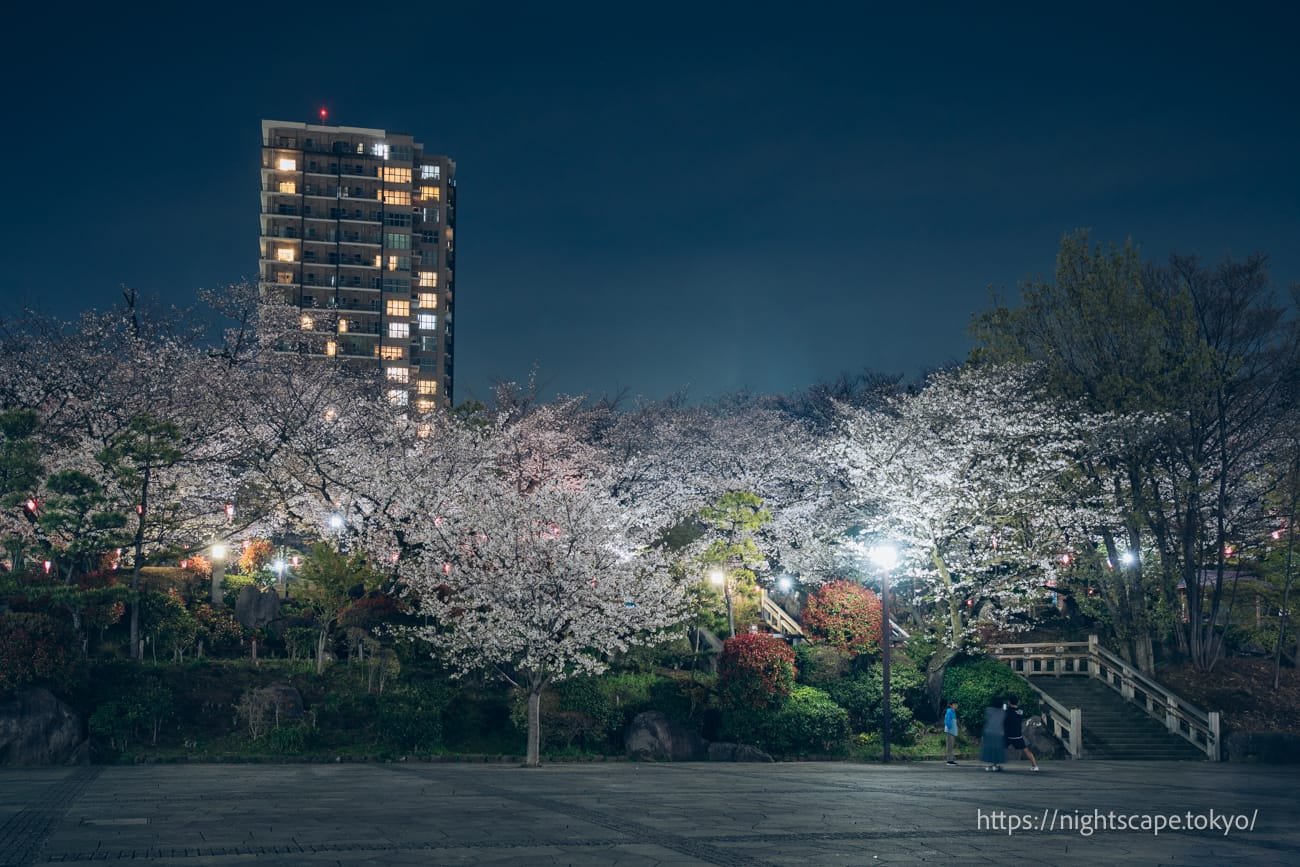 🌳 아스와야마 공원 (足羽山公園) 이미지 5